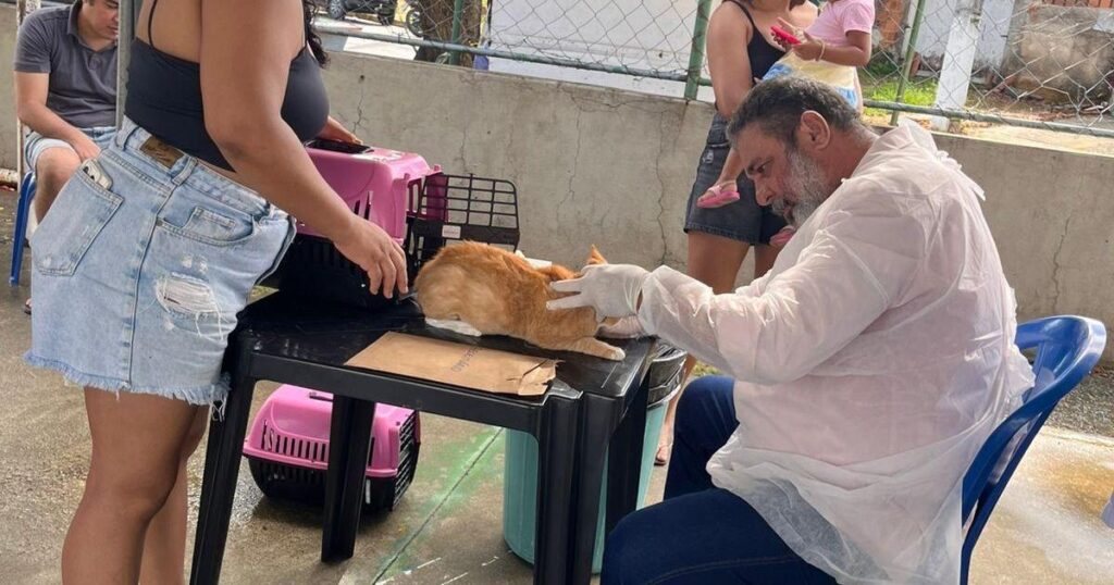 Atendimento veterinário gratuito beneficia tutores e pets no Ouro Preto
