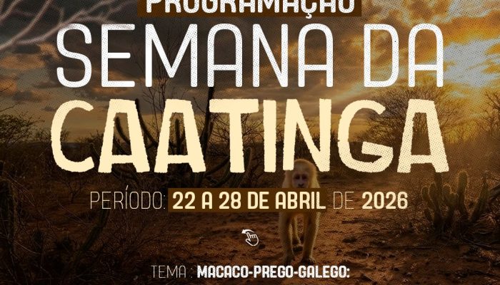 WhatsApp Image 2026-04-15 at 15.10.49 (2)