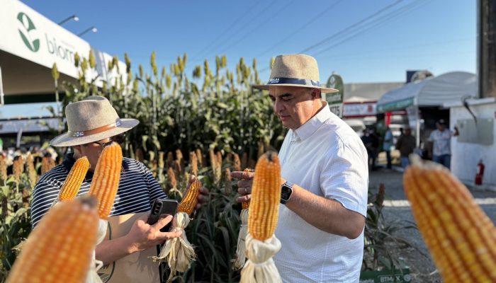 alagoas-marca-presenca-no-sealba-show-2026-em-sergipe