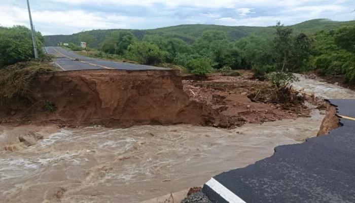 governo-de-alagoas-mobiliza-forcas-de-emergencia-apos-colapso-na-al-225